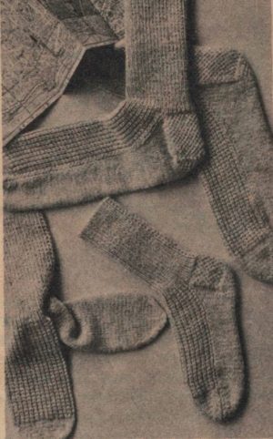 socks for busy feet - image