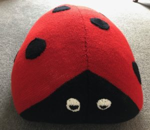 Sirdar108-28 Ladybird Cushion