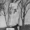 Sunglo Knitting Book - Series 108 - Image 9