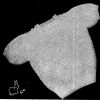 Patons KB 457 babies jumpers from birth to 18 months - gallery image - christine