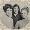 Patons 103 - Ladies set-in jumpers and cardigans - 5 Bluebell Jumper