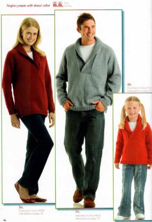 Panda 222 - Magnum Soft 8ply - 5 6 7 raglan jumper with shawl collar