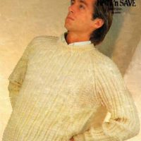 Patons 1731 - mans textured sweater - product image - front cover