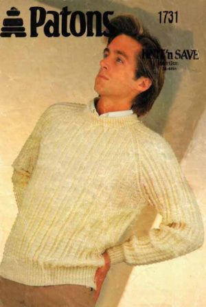 Patons 1731 - mans textured sweater - product image - front cover