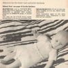 Beehive Baby Book SC14 - Basic for babies