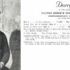 Patons 411 - from 4 to 6 - darryl