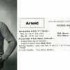 Patons 417 - pullovers for men - arnold