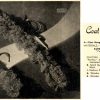 Patons 252 - gallery image - coat hanger covers