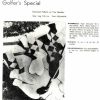 Paragon 38 Sock Book - golfers special
