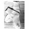 Paragon 38 Sock Book - ladies ankle socks