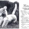 Patons C5 - Craft Book - kitten
