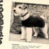 New Idea NS18 - Cosies-Toys and Novelties - cobbers dog coat